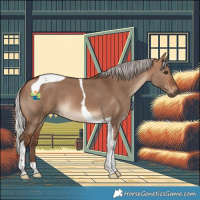 Horse Color:Silver Bay Dun Tobiano