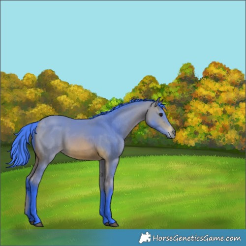 Horse Color:Watercolor Bay