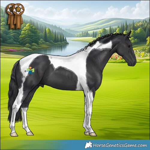 Horse Color:Black Tobiano 