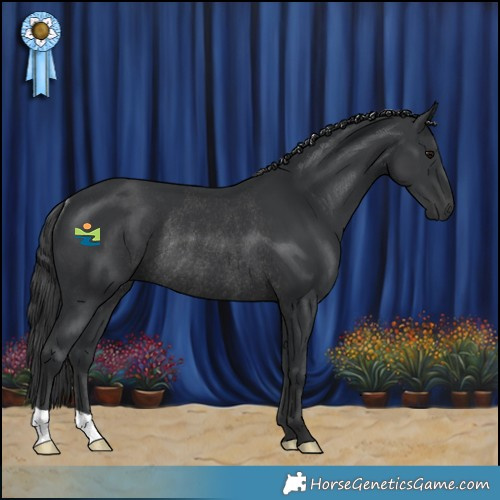 Horse Color:Black Rabicano 