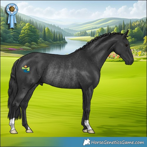 Horse Color:Black Rabicano 