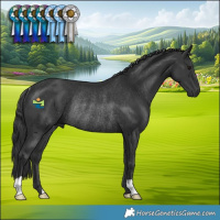 Horse Color:Black Rabicano
