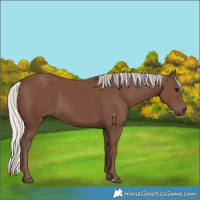 Horse Color:Silver Black