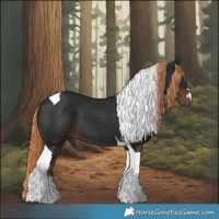 Horse Color:Liver Chestnut Tobiano 