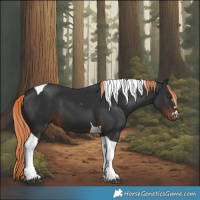 Horse Color:Liver Chestnut Tobiano 