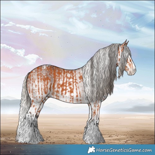 Horse Color:Bay Splash Tobiano  and Gray White Spotted Silver Bay Splash 