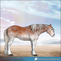 Horse Color:White Spotted Bay Splash  and Gray White Spotted Silver Bay Splash 