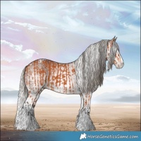 Horse Color:Bay Splash Tobiano  and Gray White Spotted Silver Bay Splash 