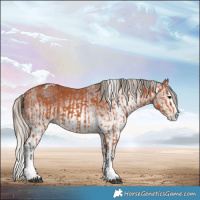 Horse Color:Bay Splash Tobiano  and Gray White Spotted Silver Bay Splash 