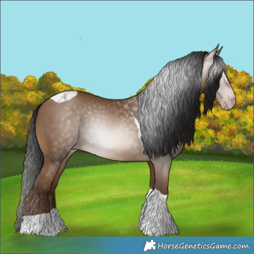Horse Color:Gray Amber Champagne Tobiano 