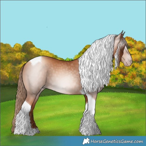 Horse Color:Gray Gold Champagne Tobiano 