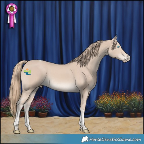 Horse Color:Smoky Creme Tobiano Rabicano 