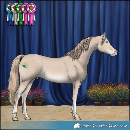 Horse Color:Smoky Creme Tobiano Rabicano 