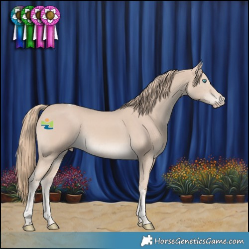 Horse Color:Smoky Creme Tobiano Rabicano 