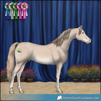 Horse Color:Smoky Creme Tobiano Rabicano 