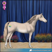 Horse Color:Smoky Creme Tobiano Rabicano