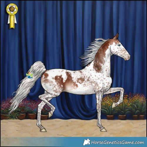 Horse Color:Silver Brown Splash Tobiano Appaloosa Rabicano 