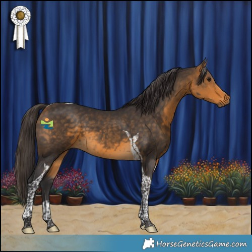Horse Color:Buckskin Tobiano 