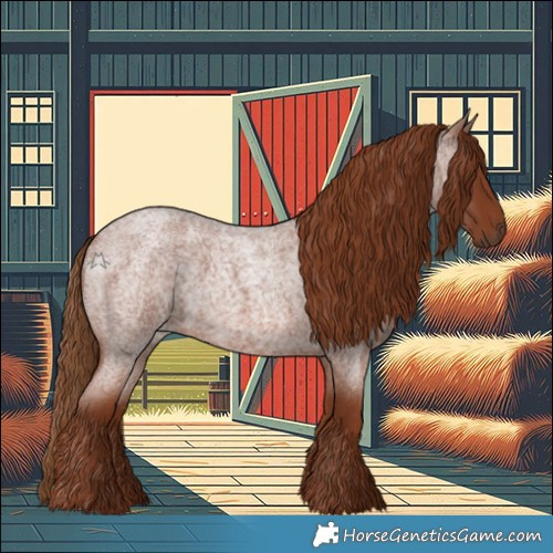 Horse Color:Red Roan 