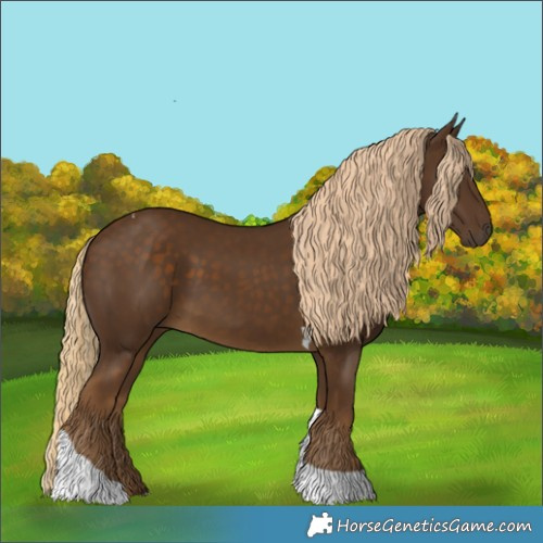 Horse Color:Chocolate Palomino Tobiano 