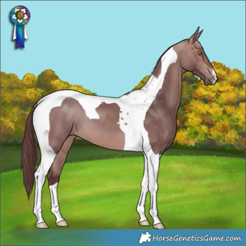 Horse Color:Platinum Chocolate Bay Tobiano 