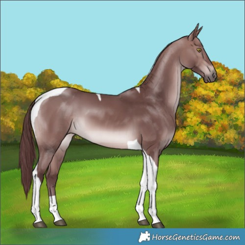 Horse Color:Platinum Chocolate Brown Tobiano 
