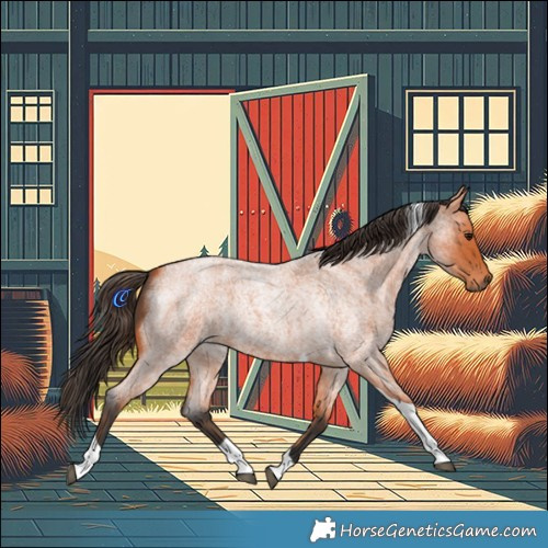 Horse Color:Bay Roan Tobiano 