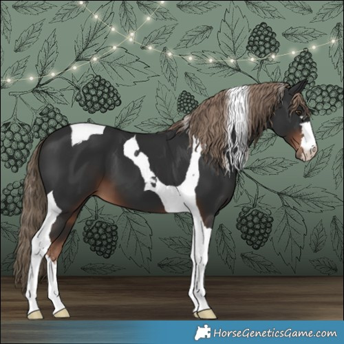 Horse Color:Liver Chestnut Tobiano 