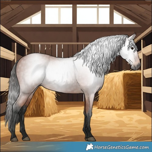 Horse Color:Gray Bay 