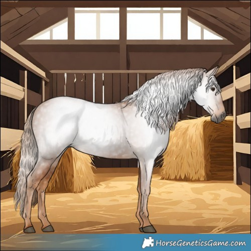 Horse Color:Gray Chestnut 