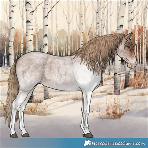 Horse Color:White Spotted Red Roan 