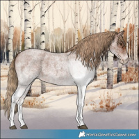 Horse Color:White Spotted Red Roan 