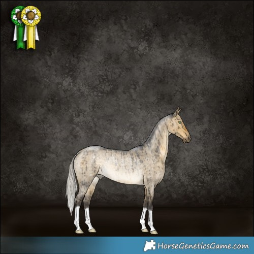 Horse Color:Silver Buckskin Roan Dun Rabicano Brindle 