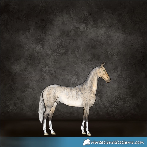 Horse Color:Silver Buckskin Roan Dun Rabicano Brindle 