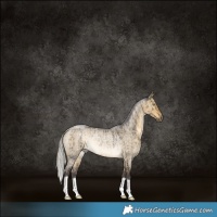 Horse Color:Silver Buckskin Roan Dun Rabicano Brindle 