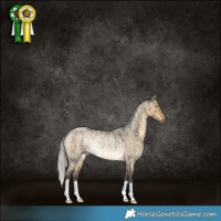 Horse Color:Silver Buckskin Roan Dun Rabicano Brindle