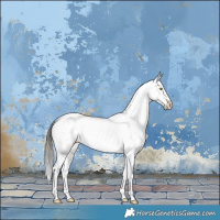 Horse Color:Buckskin Sabino 