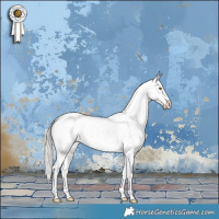 Horse Color:Silver Brown Sabino