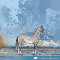 Horse Color:Brown Roan Sabino Rabicano