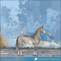 Horse Color:Brown Dun Sabino Rabicano Brindle 