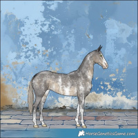 Horse Color:Silver Smoky Black Sabino 