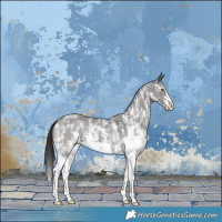 Horse Color:Smoky Black Sabino