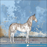 Horse Color:Chocolate Palomino Sabino
