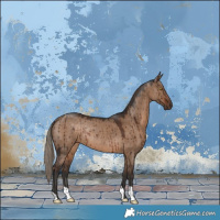 Horse Color:Liver Red Dun Rabicano Brindle