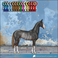 Horse Color:Liver Chestnut Rabicano 