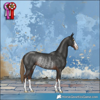 Horse Color:Liver Chestnut Rabicano 