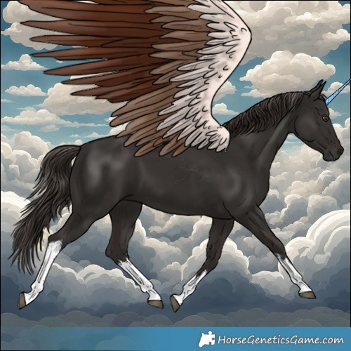 Horse Color:White Spotted Liver Chestnut Tobiano 