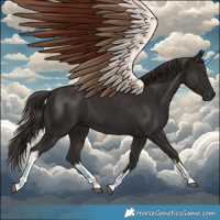 Horse Color:White Spotted Liver Chestnut Tobiano 