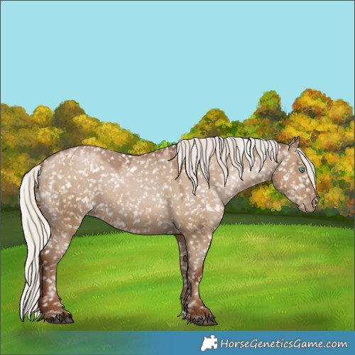 Horse Color:Gray Silver Grullo Pearl Snowflake Varnish Rabicano 