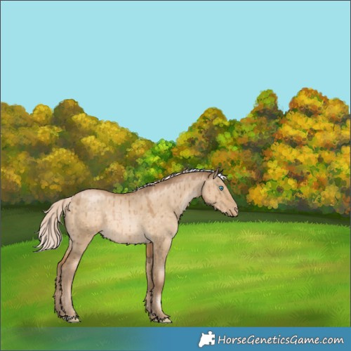 Horse Color:Chocolate Palomino Pearl Dun Tobiano Rabicano Brindle 